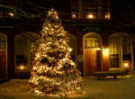 Christmas Tree in front of Town Hall