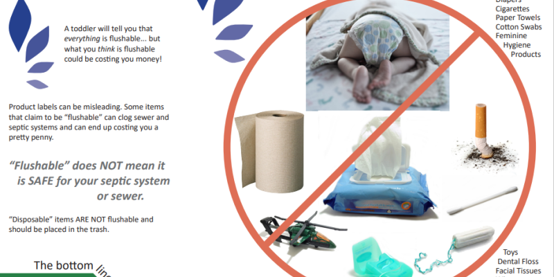 Non flushable items: diapers, cigarettes, toys, wipes, etc